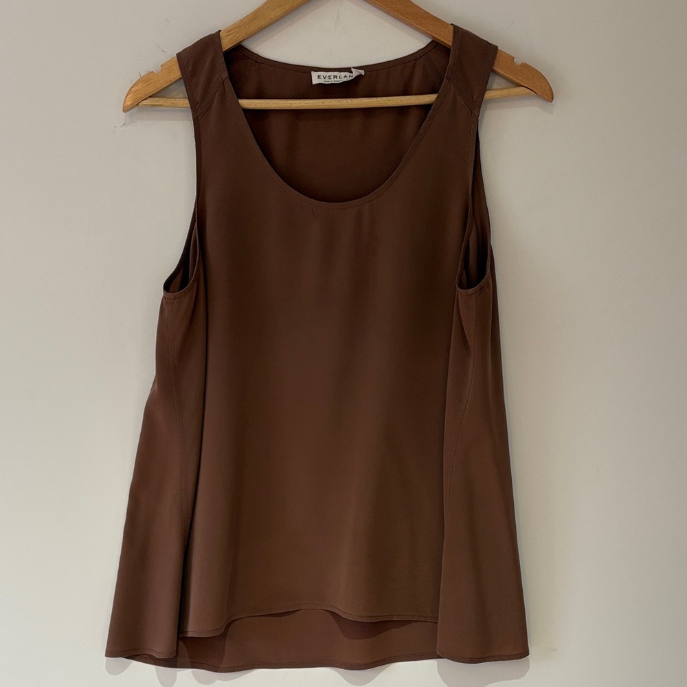 Everlane silk tank in clay/rust